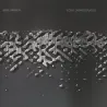 Mike Parker - Echo Disintegrator 2x12"