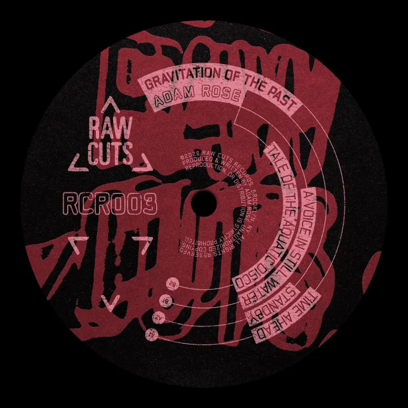 Adam Rose - Gravitation of the Past