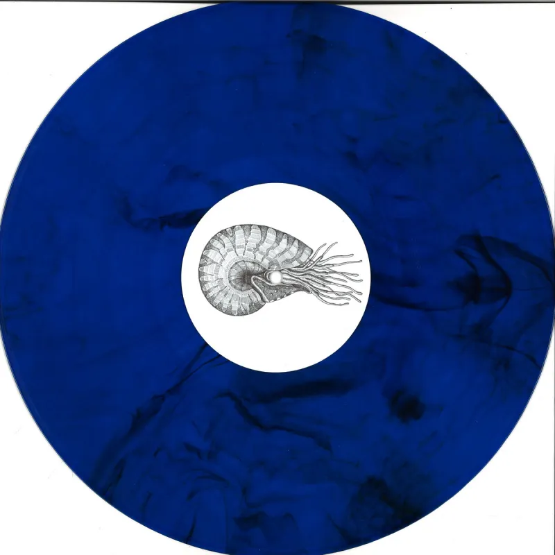Monsieur Reve - Travel With Nautilus