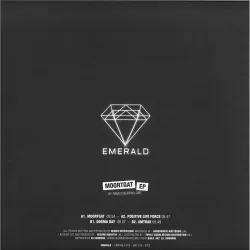 Remco Beekwilder - Moortgat EP