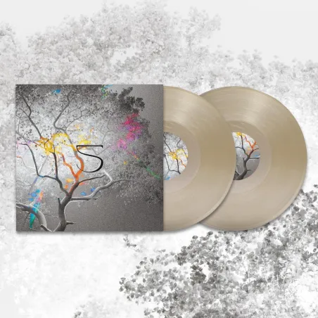 Various - 5 Years 2x12"