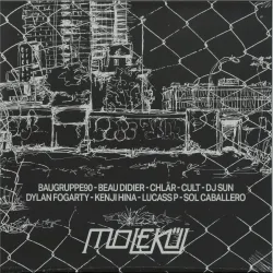 Various - Stuck In The Loop 2x12"