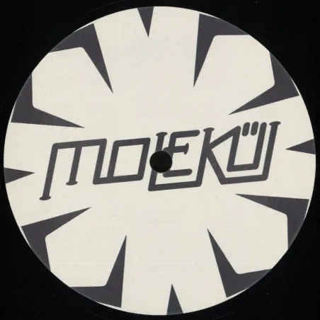 Random Order
,
Undivulged - Automatic Responser EP
