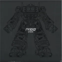 Various - 10 Years 4x12"