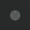 Viels - Audio Catalogue 001
