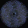 Groove P/Saison/Fresco Edits/Capri - PAP Wax 03