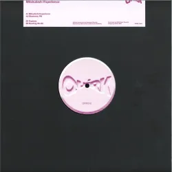 Alexander Skancke - Mitsubishi Experience