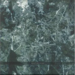 Voices From The Lake - Voices From The Lake (2023 Edition) 4x12"