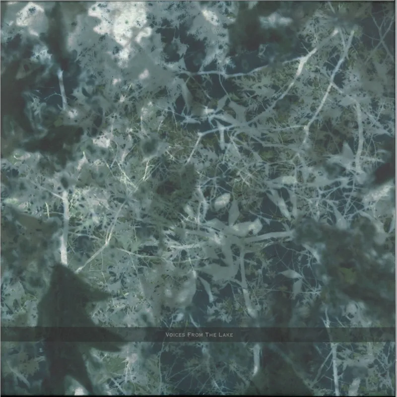 Voices From The Lake - Voices From The Lake (2023 Edition) 4x12"