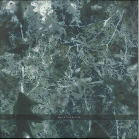 Voices From The Lake - Voices From The Lake (2023 Edition) 4x12"