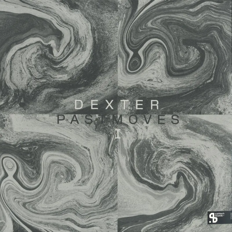 Dexter - Past Moves 3x12"