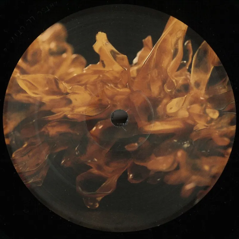 Regent - Amber
