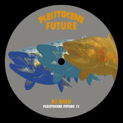 Dj Balu - Pleistocene Future 11