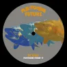 Dj Balu - Pleistocene Future 11