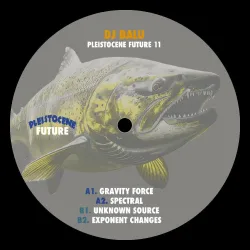 Dj Balu - Pleistocene Future 11