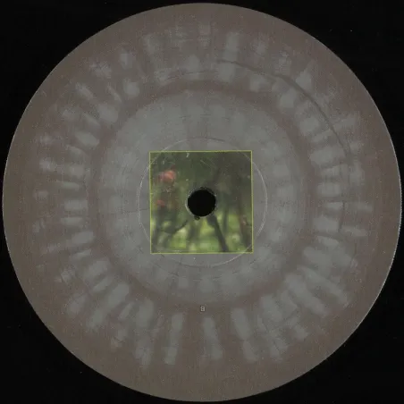djfix
&
Jek - unknown species