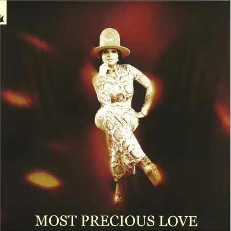 Blaze
presents
UDAUFL feat. Barbara Tucker - Most Precious Love (20th Anniversary Special Edition)