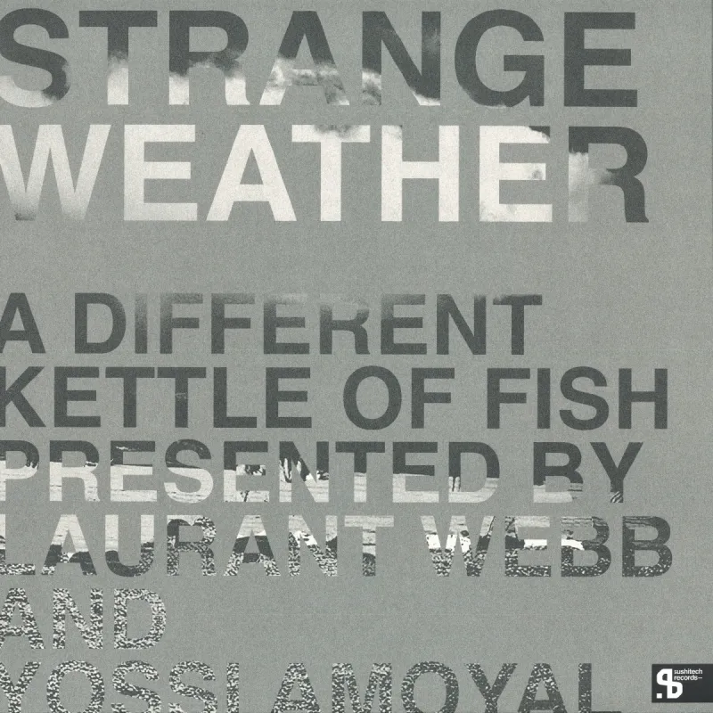 Laurant Webb
&
Yossi Amoyal - Strange Weather : A Different Kettle Of Fish