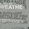 Laurant Webb
&
Yossi Amoyal - Strange Weather : A Different Kettle Of Fish