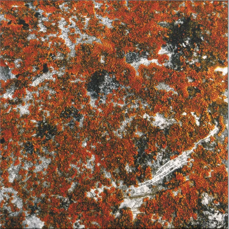 BORDER ONE - SPECTRAL TENSION