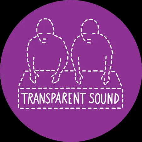Transparent Sound - No Call From New York
