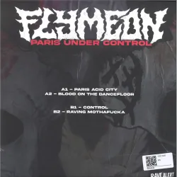 Flymeon - Paris Under Control