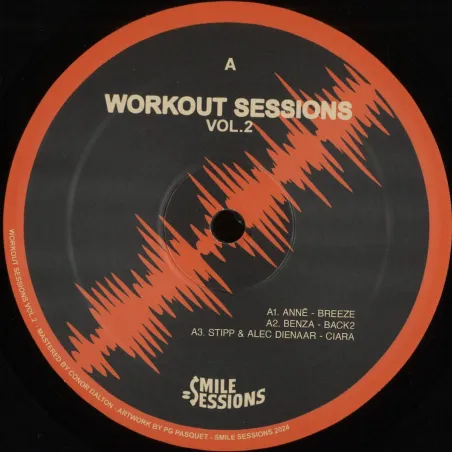 Various - Workout Sessions Vol. 2 (LP 2x12")