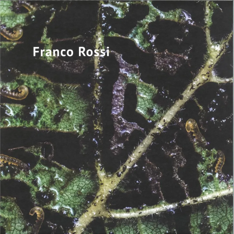Franco Rossi - Vaalbara
