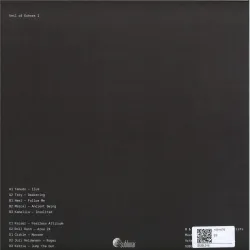 Various - VEIL OF ECHOES I (2x12")