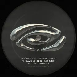 Various - Vision Ekstase 8