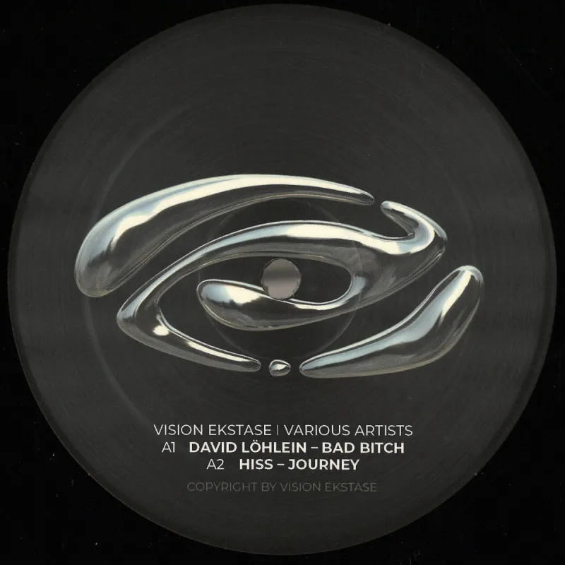 Various - Vision Ekstase 8