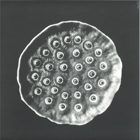 747 - Deep Space Opera EP