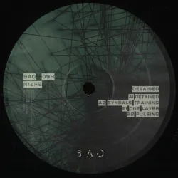 Nizre - Detained