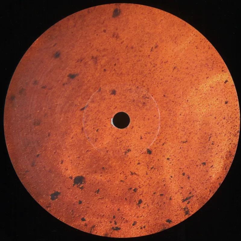 Sciahri - Pareidolia II