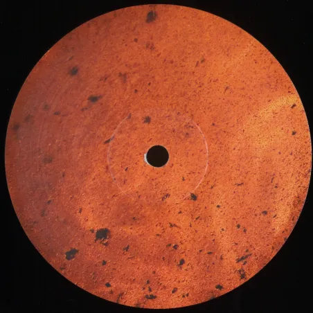 Sciahri - Pareidolia II