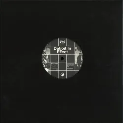Detroit In Effect - Who's In Control