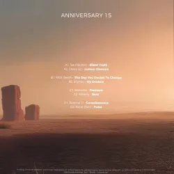 Various - Steyoyoke Anniversary, Vol. 15 2x12"