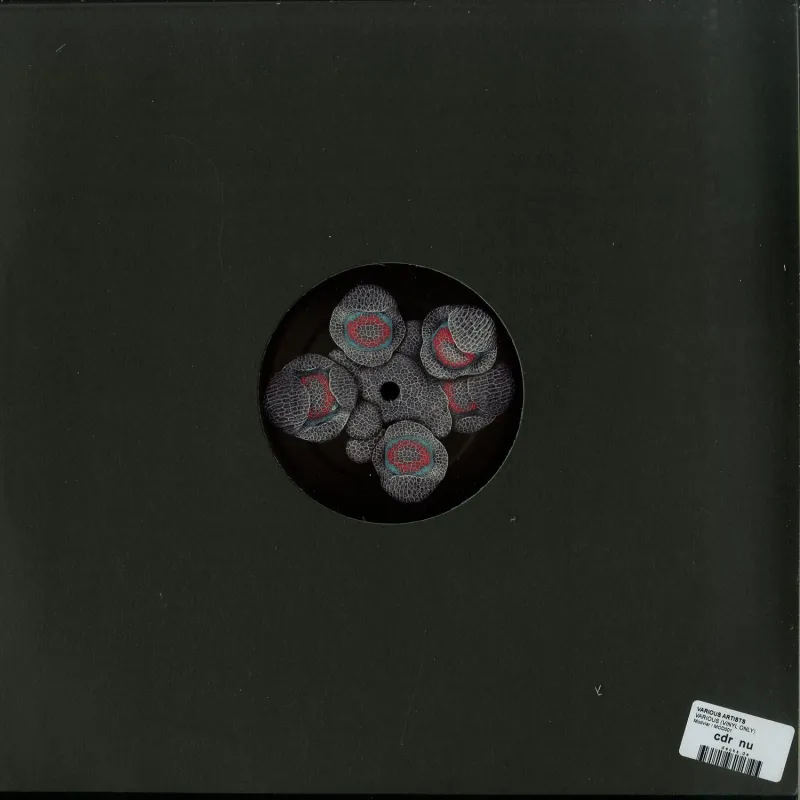 Various Artists - VARIOUS
