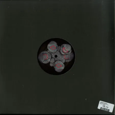 Various Artists - VARIOUS