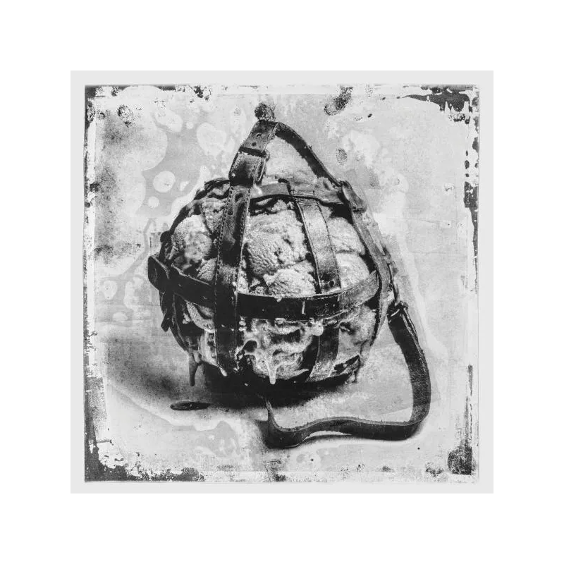 Stanislav Tolkachev - Dog Flavored Cat Chew EP [Printed Sleeve]