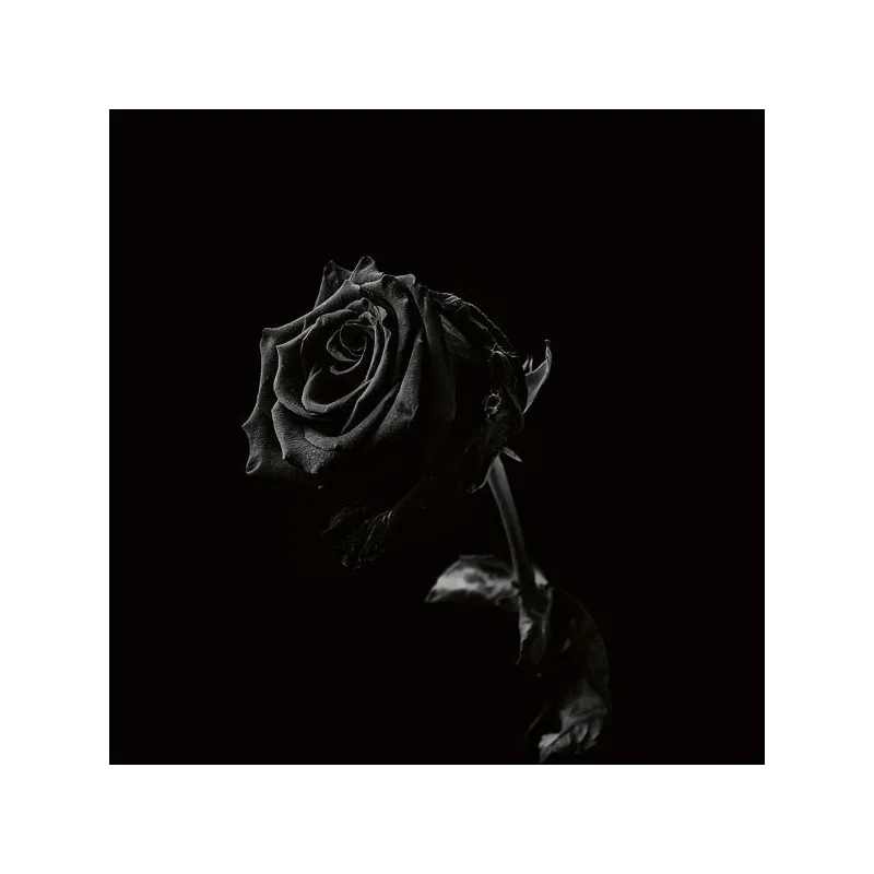 Viclan - Healing Wounds [Limited edition red cassette]