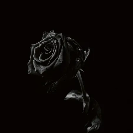 Viclan - Healing Wounds [Limited edition red cassette]