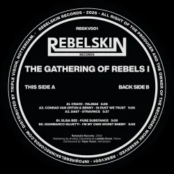 Various - Gathering of Rebels Vol.I 2x12"