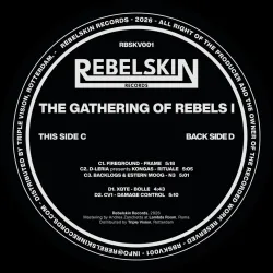 Various - Gathering of Rebels Vol.I 2x12"