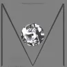 JSPRV35 - Aktivist EP
