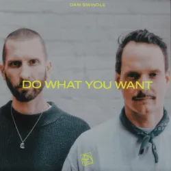 Dam Swindle - Do What You Want