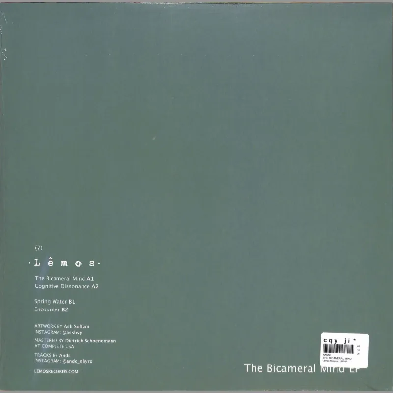 Andc - THE BICAMERAL MIND