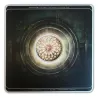 Feral - Court of Light [180 Grams,Generic Sleeve]