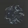 Hadone - Kept What Remained 2x12"
