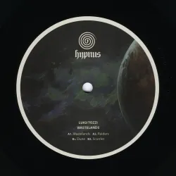 Luigi Tozzi - Wastelands